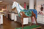 132-WEG-8-18-19-06-&copy;DDeRosaPhoto.jpg