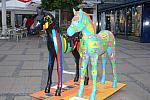 140-WEG-8-18-19-06-&copy;DDeRosaPhoto.jpg