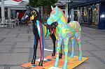 140-WEG-8-18-19-06-&copy;DDeRosaPhoto.jpg