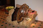 146-HotelDecor-WEG-8-18-19-06-&copy;DDeRosaPhoto.jpg