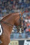 976-WEG-8-23-06-_DeRosaPhoto.JPG