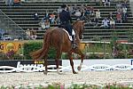 981-WEG-8-23-06-_DeRosaPhoto.JPG