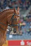 987-WEG-8-23-06-_DeRosaPhoto.JPG