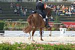 312-WEG-8-23-06-_DeRosaPhoto.JPG