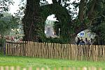 1023-WEGXX-8-26-06-_DeRosaPhoto.JPG