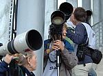 357-WEG-8-23-06-&copy;DeRosaPhoto-crop.jpg