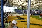 003-WEG-Stadium3Arena-8-24-06-_DeRosaPhoto.JPG