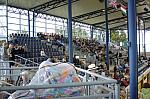 014-WEG-Stadium3Arena-8-24-06-_DeRosaPhoto.JPG