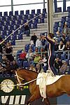 104-WEG-Vaulting-8-24-06-&copy;DeRosaPhoto.jpg
