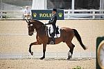 WEG-DRTst-4-21-10-0712-LuckyTiger-PierreStJacques-DDeRosaPhoto.jpg