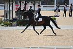 WEG-DRTst-4-21-10-0756-Leonberg-MikalaMunterGunderse-DDeRosaPhoto.jpg