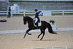 WEG-DRTst-4-21-10-0775-Leonberg-MikalaMunterGunderse-DDeRosaPhoto.jpg