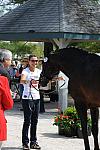 WEG-DRTst-4-20-10-0006-Leonberg-MikalaMunterGunderse-DDeRosaPhoto.jpg