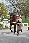 WEG-DRTst-4-20-10-0083-Ikaros-NadineSchlonsok-DDeRosaPhoto.jpg