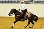 WEG-7-21-09-0030-ReiningTest-AaronRalston-DoubleMyWhiskey-USA-DDeRosaPhoto.jpg