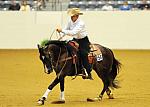 WEG-7-21-09-0033-ReiningTest-AaronRalston-DoubleMyWhiskey-USA-DDeRosaPhoto.jpg