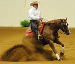 WEG-7-21-09-0127-ReiningTest-DaveYoung-AngelsMark-CAN-DDeRosaPhoto.jpg