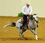WEG-7-21-09-0142-ReiningTest-DellHendricks-StarbucksSidekick-DDeRosaPhoto.jpg