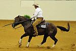 WEG-7-21-09-0206-ReiningTest-JorgeRamirez-JalapenoPeppy-MEX-DDeRosaPhoto.jpg