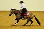 WEG-7-21-09-0252-ReiningTest-Lisa Coulter-HollywoodAces-CAN-DDeRosaPhoto.jpg