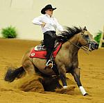 WEG-7-21-09-0274-ReiningTest-Lisa Coulter-HollywoodAces-CAN-DDeRosaPhoto.jpg