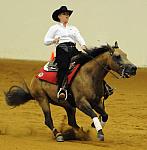 WEG-7-21-09-0290-ReiningTest-Lisa Coulter-HollywoodAces-CAN-DDeRosaPhoto.jpg