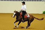 WEG-7-21-09-0310-ReiningTest-TomMcCutcheon-DarlinsNotPainted-USA-DDeRosaPhoto.jpg