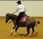WEG-7-21-09-0311-ReiningTest-TomMcCutcheon-DarlinsNotPainted-USA-DDeRosaPhoto.jpg