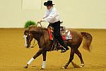 WEG-7-21-09-0328-ReiningTest-TomMcCutcheon-DarlinsNotPainted-USA-DDeRosaPhoto.jpg