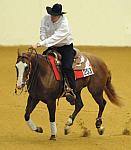 WEG-7-21-09-0329-ReiningTest-TomMcCutcheon-DarlinsNotPainted-USA-DDeRosaPhoto.jpg