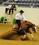 WEG-7-21-09-0367-ReiningTest-TomMcCutcheon-DarlinsNotPainted-USA-DDeRosaPhoto.jpg