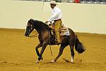 WEG-7-21-09-0395-ReiningTest-RubenPacheco-FootworksSpecial-MEX-DDeRosaPhoto.jpg