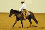 WEG-7-21-09-0396-ReiningTest-RubenPacheco-FootworksSpecial-MEX-DDeRosaPhoto.jpg