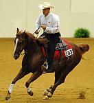WEG-7-21-09-0461-ReiningTest-JasonGrimshaw-ChicsSonata-CAN-DDeRosaPhoto.jpg