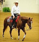 WEG-7-21-09-0499-ReiningTest-JasonGrimshaw-ChicsSonata-CAN-DDeRosaPhoto.jpg