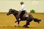 WEG-7-21-09-0506-ReiningTest-ShawnFlarida-SmartSpook-USA-DDeRosaPhoto.jpg
