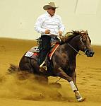 WEG-7-21-09-0538-ReiningTest-ShawnFlarida-SmartSpook-USA-DDeRosaPhoto.jpg
