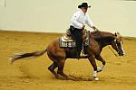 WEG-7-21-09-0579-ReiningTest-JoseVazquez-JuicedUpDoc-MEX-DDeRosaPhoto.jpg