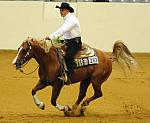 WEG-7-21-09-0591-ReiningTest-JoseVazquez-JuicedUpDoc-MEX-DDeRosaPhoto.jpg
