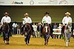 WEG-7-21-09-0773-ReiningTest-DDeRosaPhoto.jpg