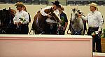 WEG-7-21-09-0786-ReiningTest-DDeRosaPhoto.jpg