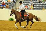 WEG-7-23-09-1190-ReiningTest-TomMcCutcheon-DarlinsNotPainted-USA-DDeRosaPhoto.jpg