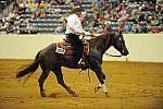 WEG-7-23-09-1261-ReiningTest-ShawnFlarida-SmartSpook-USA-DDeRosaPhoto.jpg