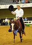 WEG-7-23-09-1433-ReiningTest-TomMcCutcheon-DarlinsNotPainted-DDeRosaPhoto.jpg