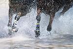 DrivingLegs.jpg-DeRosaPhoto