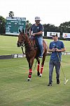 IPC-Polo-1-1-17-1092-DDeRosaPhoto