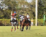 IPC-Polo-1-1-17-1248-DDeRosaPhoto