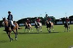 IPC-Polo-1-8-17-6488-DDeRosaPhoto