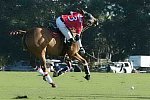 IPC-Polo-1-8-17-6577-DDeRosaPhoto