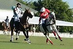 IPC-Polo-1-8-17-6601-DDeRosaPhoto